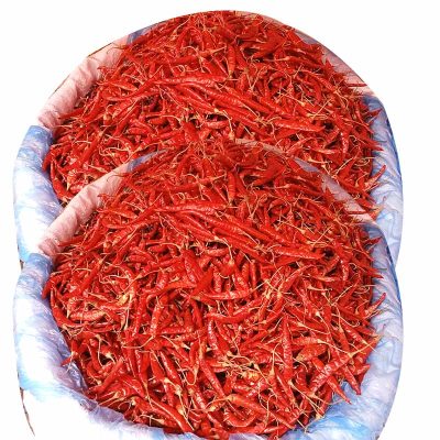 শুকনা মরিচ (বাংলাদেশী কারেন্ট মরিচ)