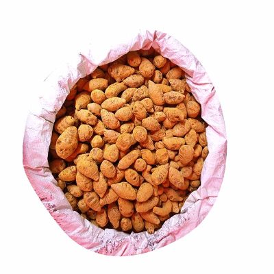 মূখি হলুদ (আস্ত হলুদ)
