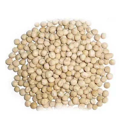 Dubli Boot - ডাবলী বুট